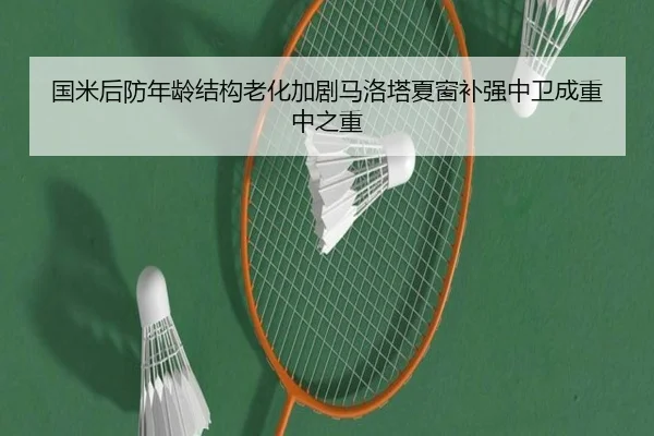国米后防年龄结构老化加剧马洛塔夏窗补强中卫成重中之重